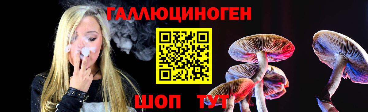 купить наркотик  Псилоцибиновые грибы Cubensis  Вход с VPN  Псилоцибиновые грибы MAGIC MUSHROOMS  Похвистнево 